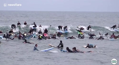 A bunch of surfers wants to catch a wave...