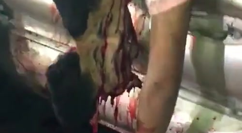 Gore: