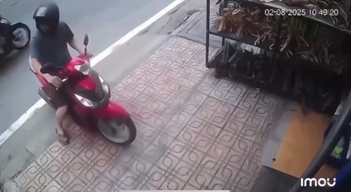 Organic Engine