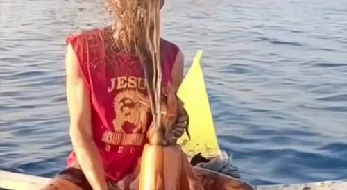 Squid's revenge