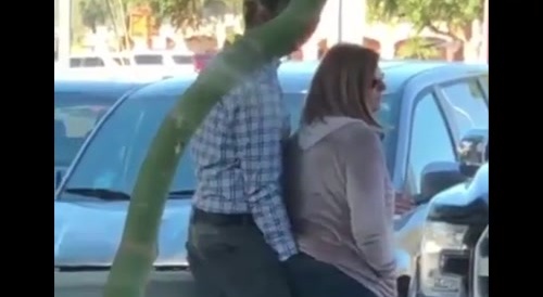 Man searches under her pants : surprising end... !