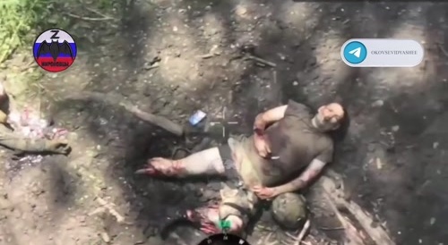 Flies shit on the corpses of Ukrainians.