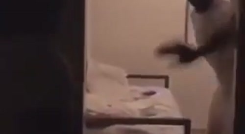 Prison Jump-In.