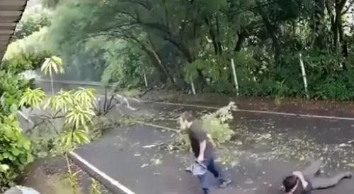 Tree branch falls on motorcycle with 2 men on it... !