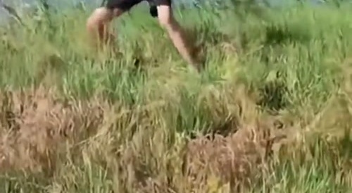 How russians fish
