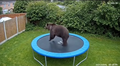 Never-Before Seen Animal.Behavior
