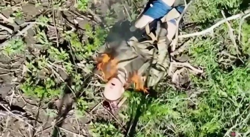 russian struck by diki shershni