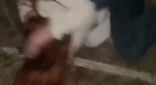 Russian girl beaten & hairs cut off...