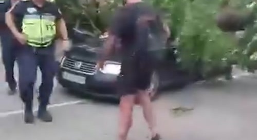 Miracle! A tree fell during a storm. Both passengers are alive!