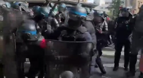 French Police vs Palestine Protestors