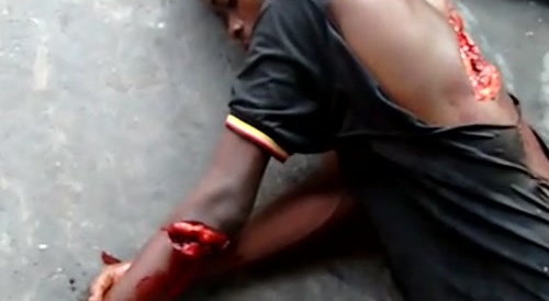 Black man allegedly handled by tiger...