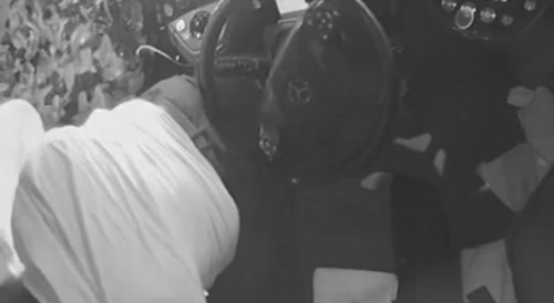 Driver Flies Outta Bus After Crash