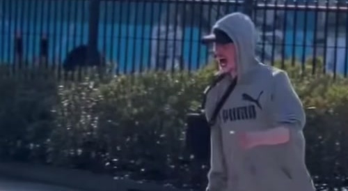 What fuck is this