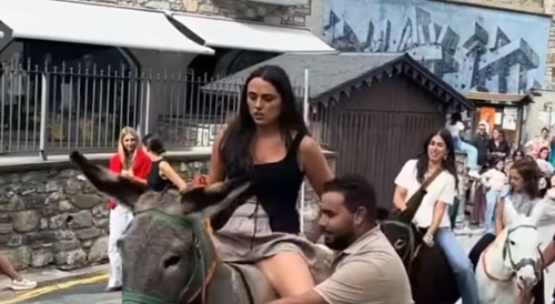 Donkey Skirt