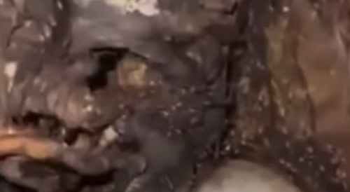 The face of death