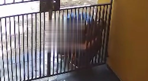 Woman is robbed of her cellphone...