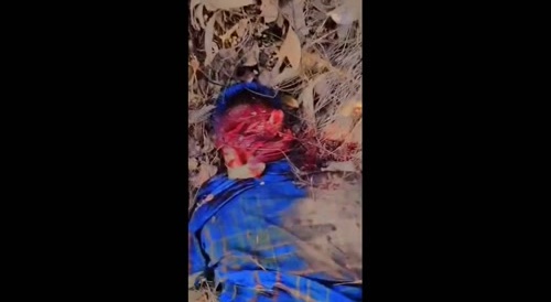 LFM Cartel members kill a man who screams for his 'papa'... !