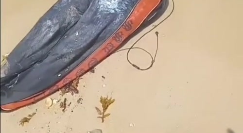 Half of dude washed up on shore