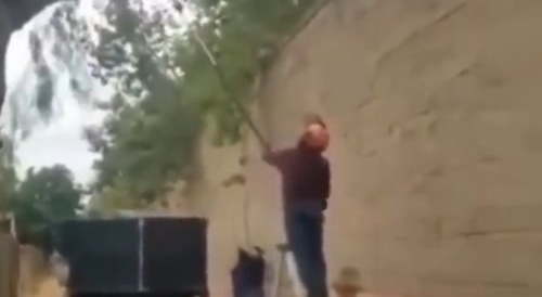 Ya think he okay?