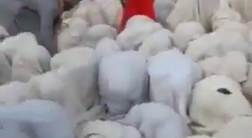This Is Some Crazy Shit