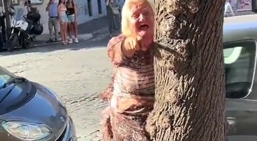 Meanwhile in Rome : old bitch squealing like a pig...