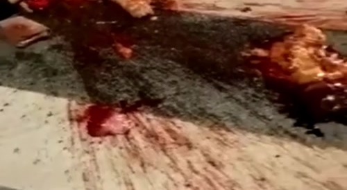 Female motorbiker was splattered : some body part still twitching ... !