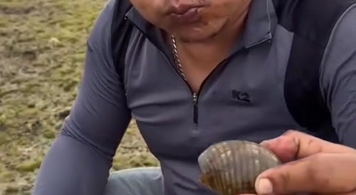 Dude Takes Down a Baby Octopus