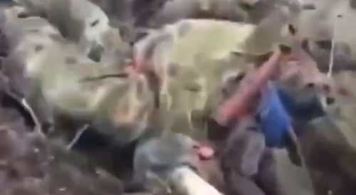Russian soldier filmed the aftermath of Ukrainian strikes on his comrades.