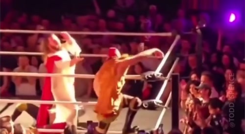 If "Jesus" was a WWE Wrestler