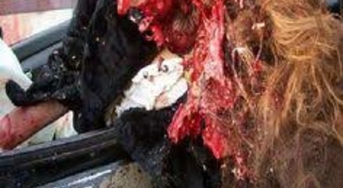 nikki catsouras' leaked accident pictures