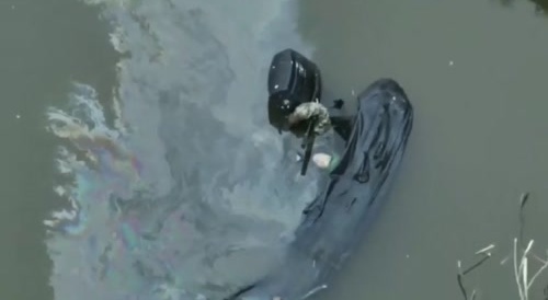 If fish could talk,