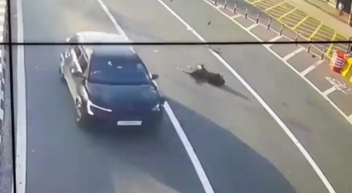 Woman crosses street and dies in Syria...