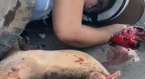 Female scooter driver fucked up by truck