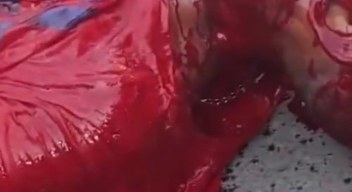 Making Of The New Jell-O Ad