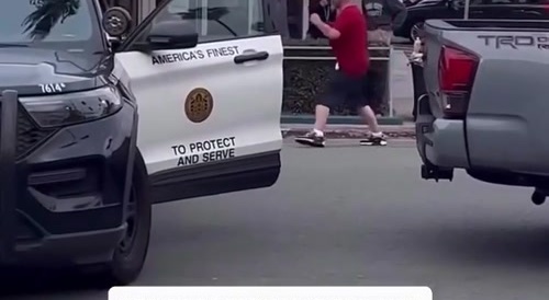 One Cop, One Taser