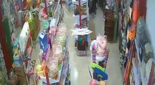 Man strangles his wife in his store...