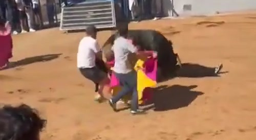 Bull is revengeful against a man...