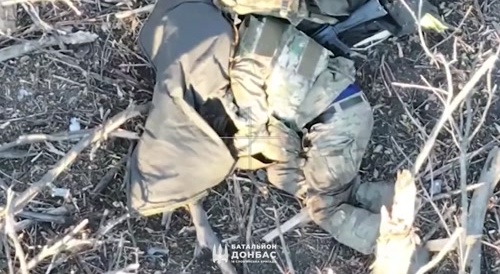 Another 30 stinking Russhits near Pokrovsk.