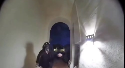 Burglary Suspect Meets 'Flame Thrower'