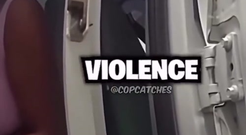 Ratchet With a Warrant Runs Officer Over