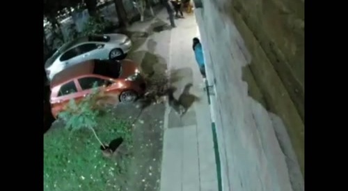 Desperate screams of a girl after being robbed by a thief.