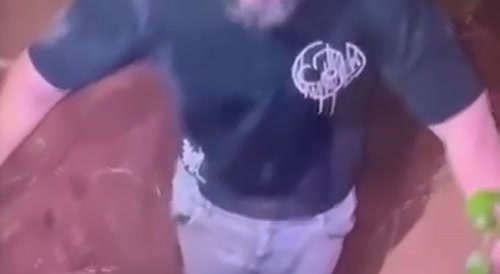 Thug Owns Behavior