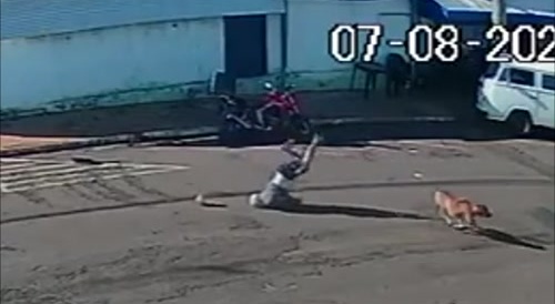 Dog Hit-And-Runs Man, Cripples