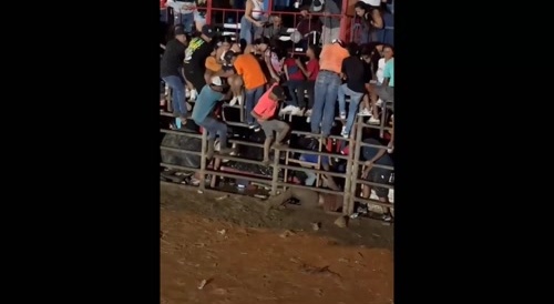 Bull Leaves One With A Nasty Thigh Wound