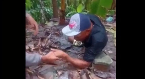 A compilation of violence.