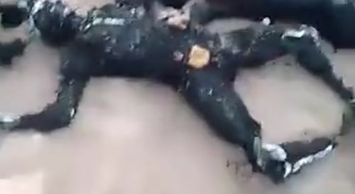 45 Roasted In Tanker Explosion