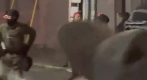 Antifa Punk Learns About FAFO the Hard Way