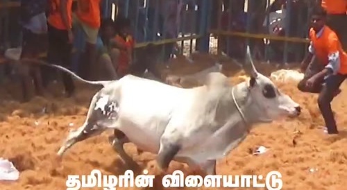 His Ass Will Never Be The Same