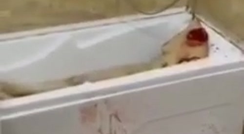 Bathtub Woman
