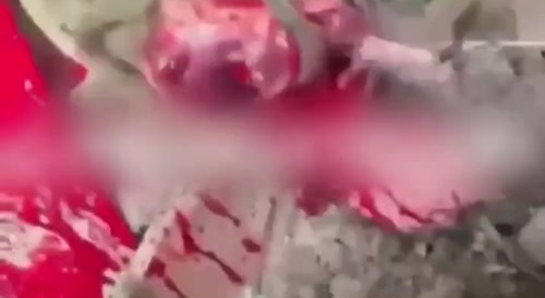 Russian mortar turns ukro kholol into dog food